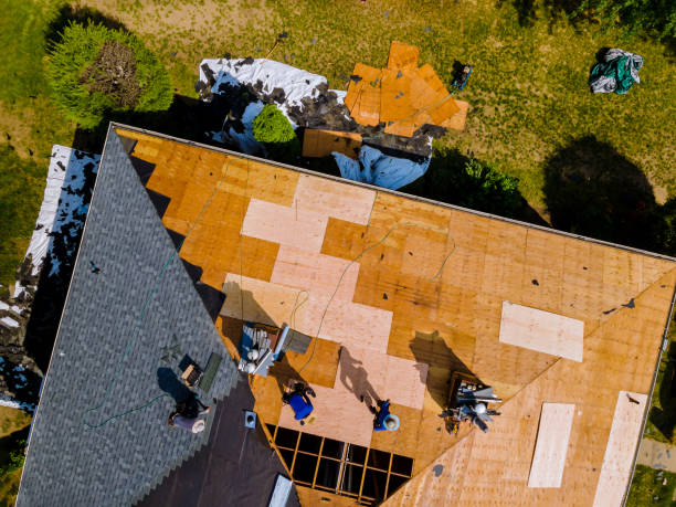 Professional Roofing Contractor in Lechee, AZ