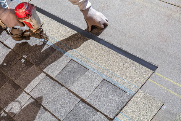 Best Local Roofing Companies  in Lechee, AZ